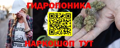 mdpv Заводоуковск