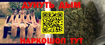 mdpv Заводоуковск