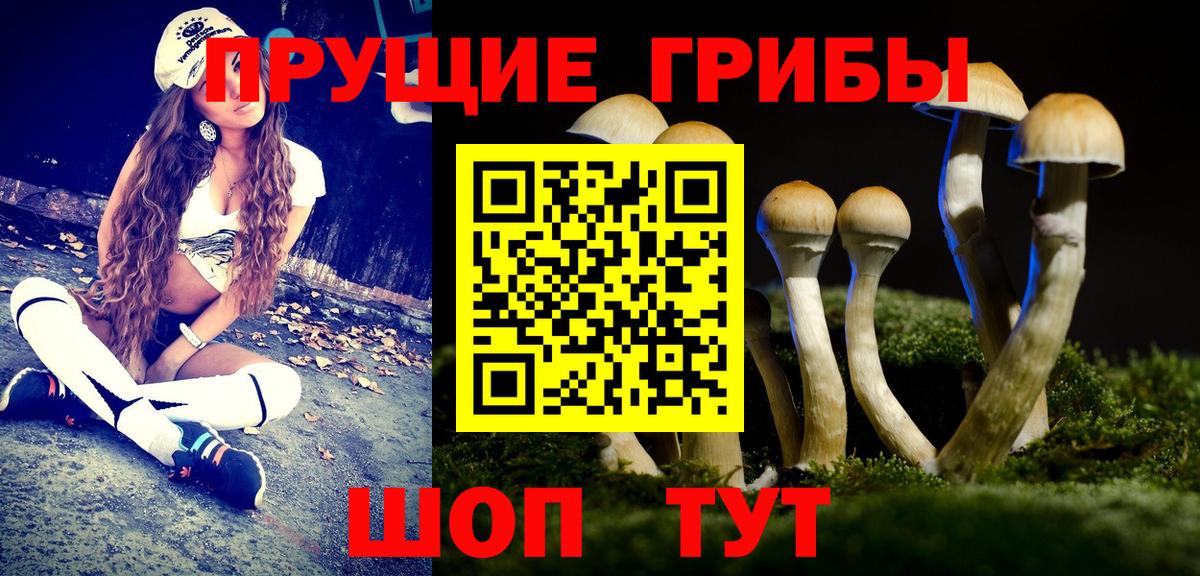 Псилоцибиновые грибы Psilocybine cubensis Кулебаки